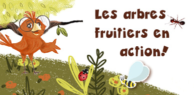 Les arbres fruitiers en action