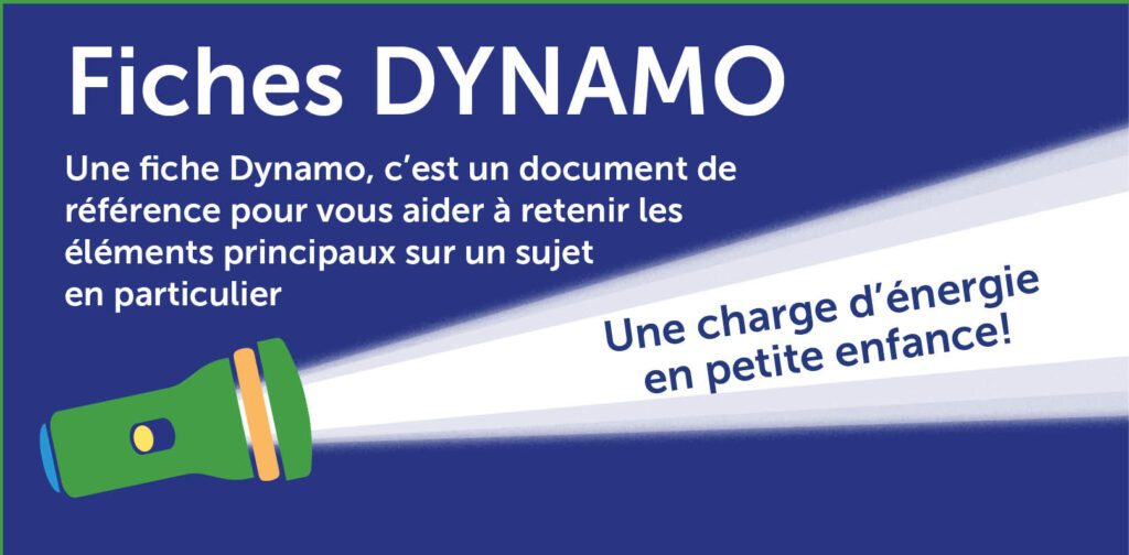 Pi Fiche dnamo